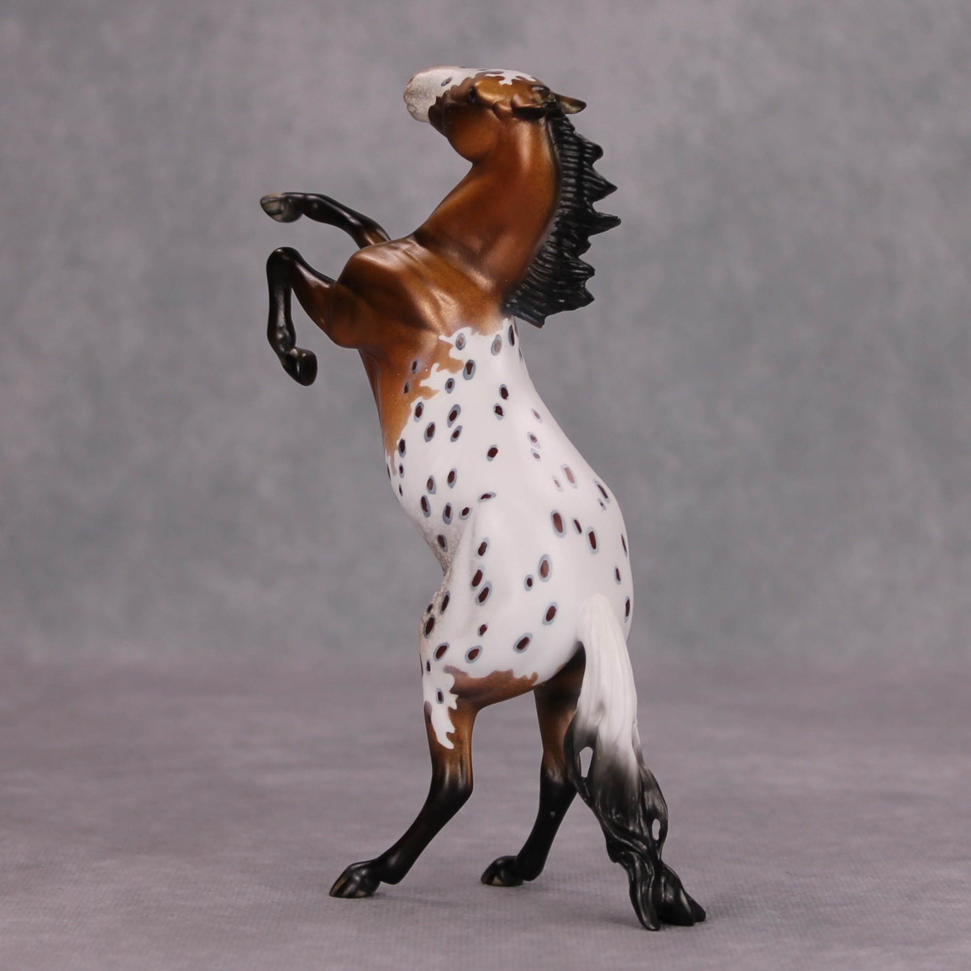 Frito Bandito OOAK Bay Blanket Appaloosa Rearing Pebble By Dawn Quick MM24