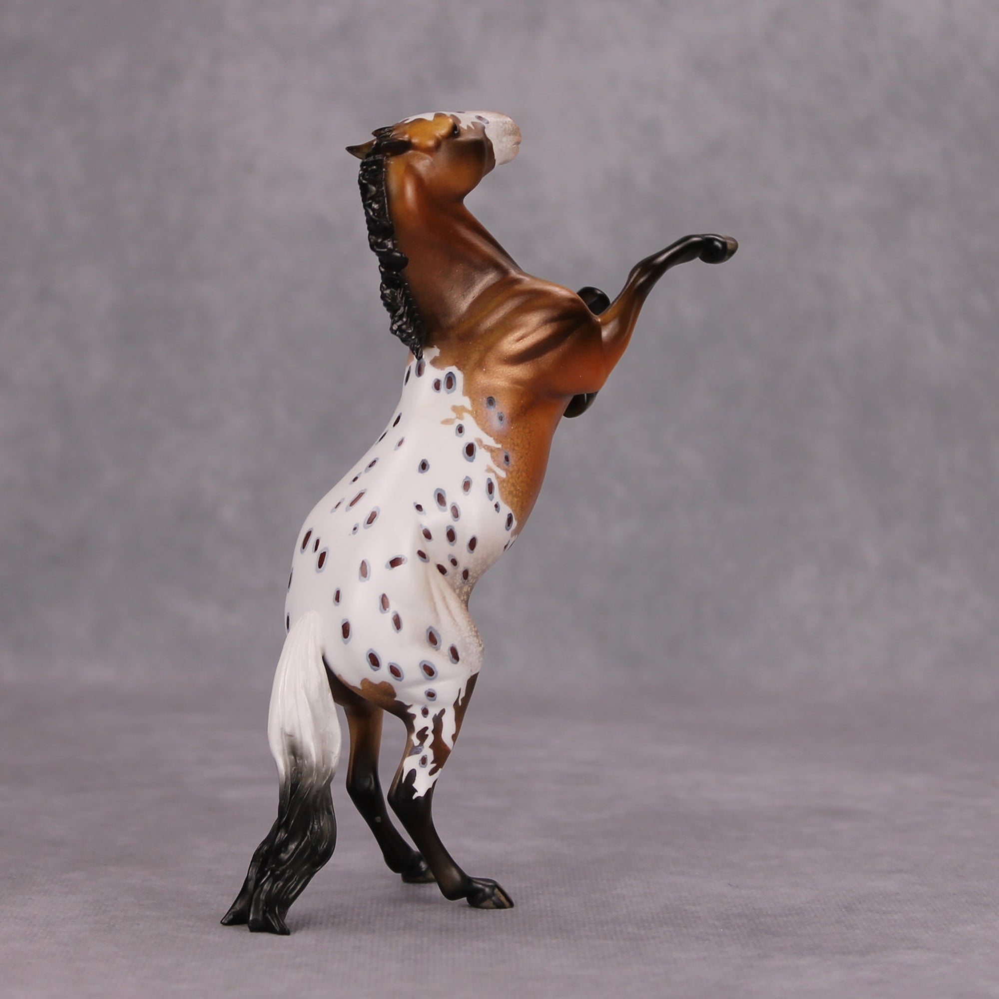 Frito Bandito OOAK Bay Blanket Appaloosa Rearing Pebble By Dawn Quick MM24