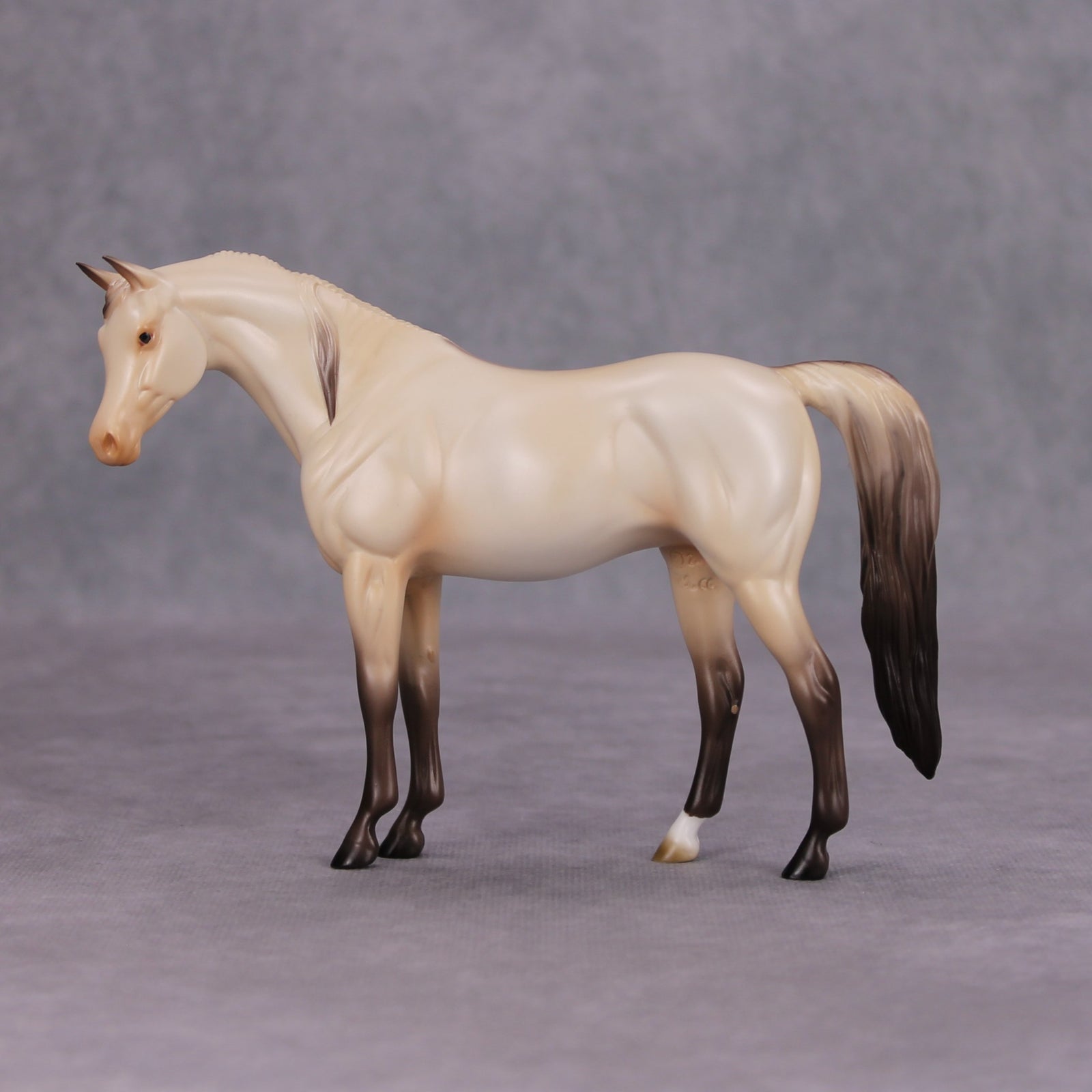 Moon Dust OOAK Champagne Dun Pebble Arabian By Ashley Palmer MM24