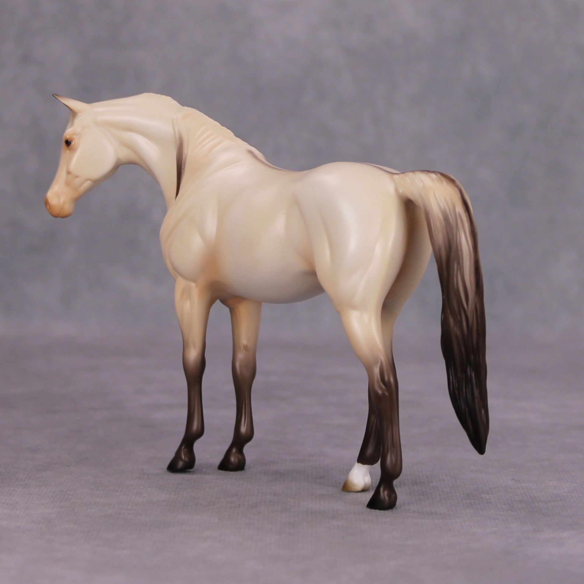 Moon Dust OOAK Champagne Dun Pebble Arabian By Ashley Palmer MM24