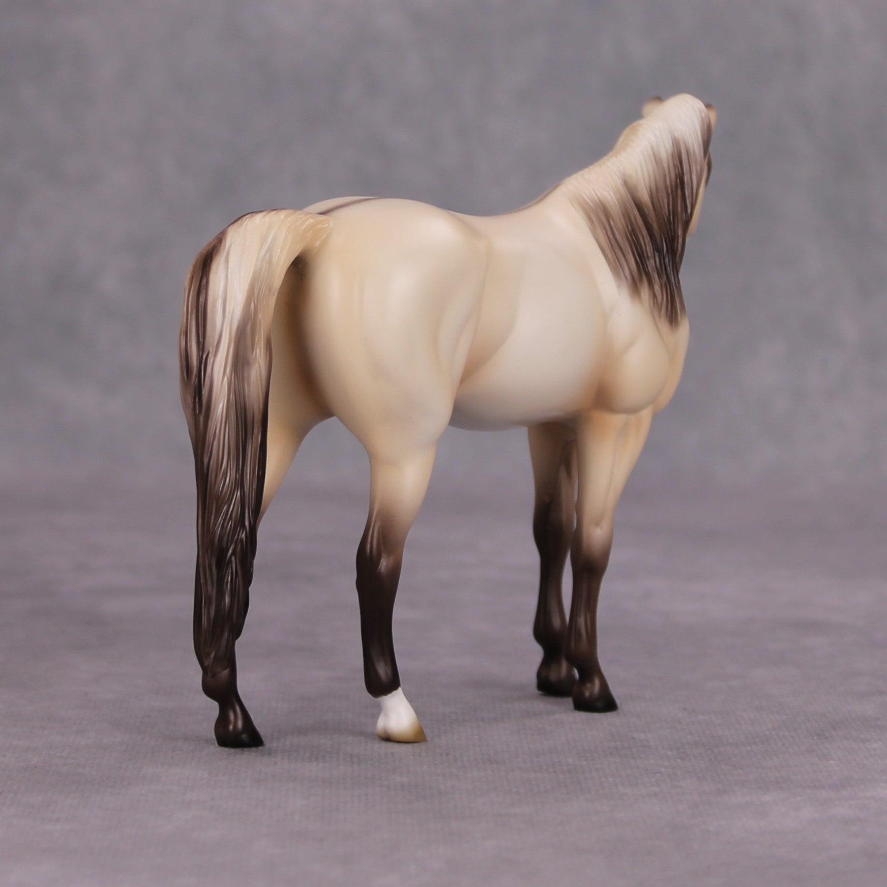 Moon Dust OOAK Champagne Dun Pebble Arabian By Ashley Palmer MM24