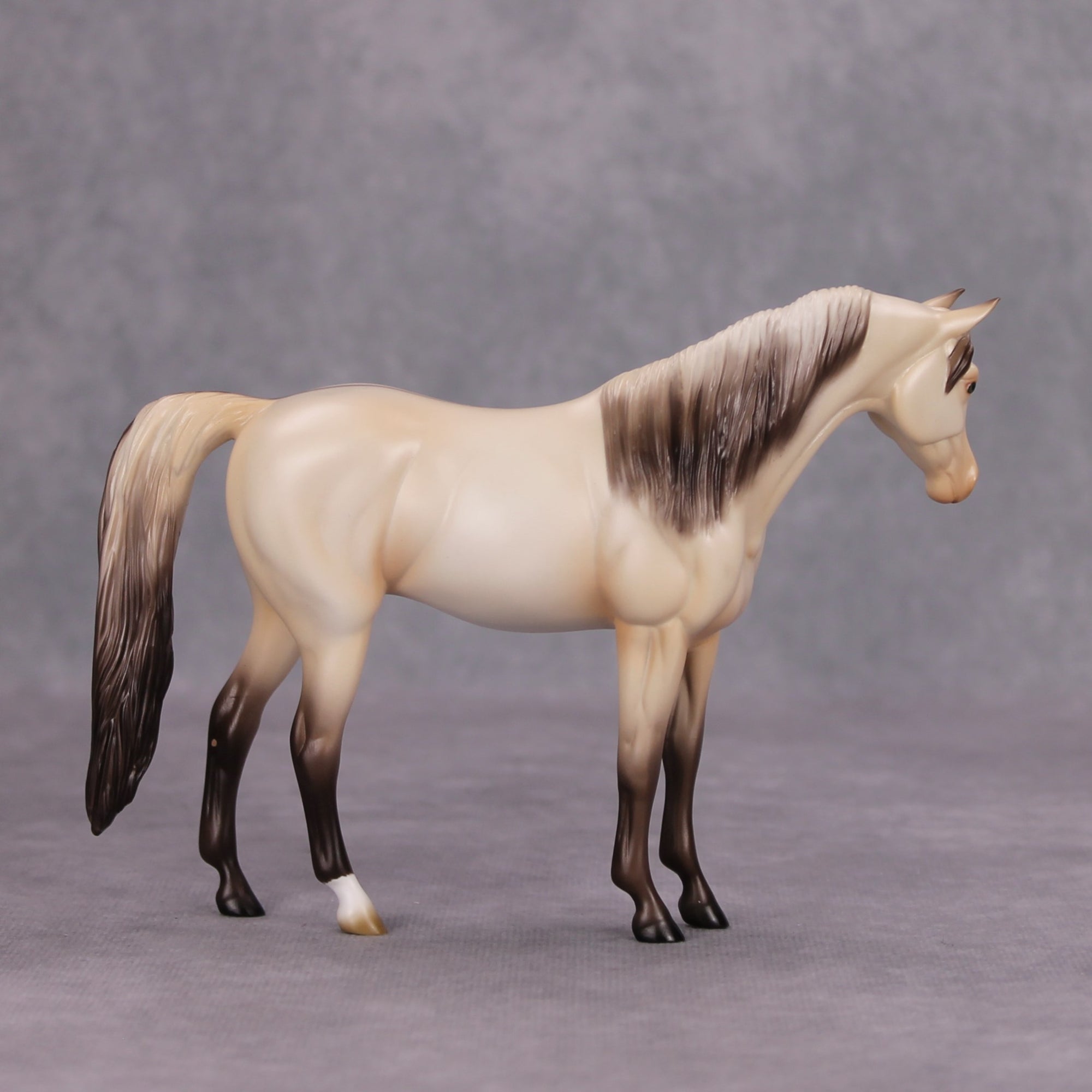 Moon Dust OOAK Champagne Dun Pebble Arabian By Ashley Palmer MM24