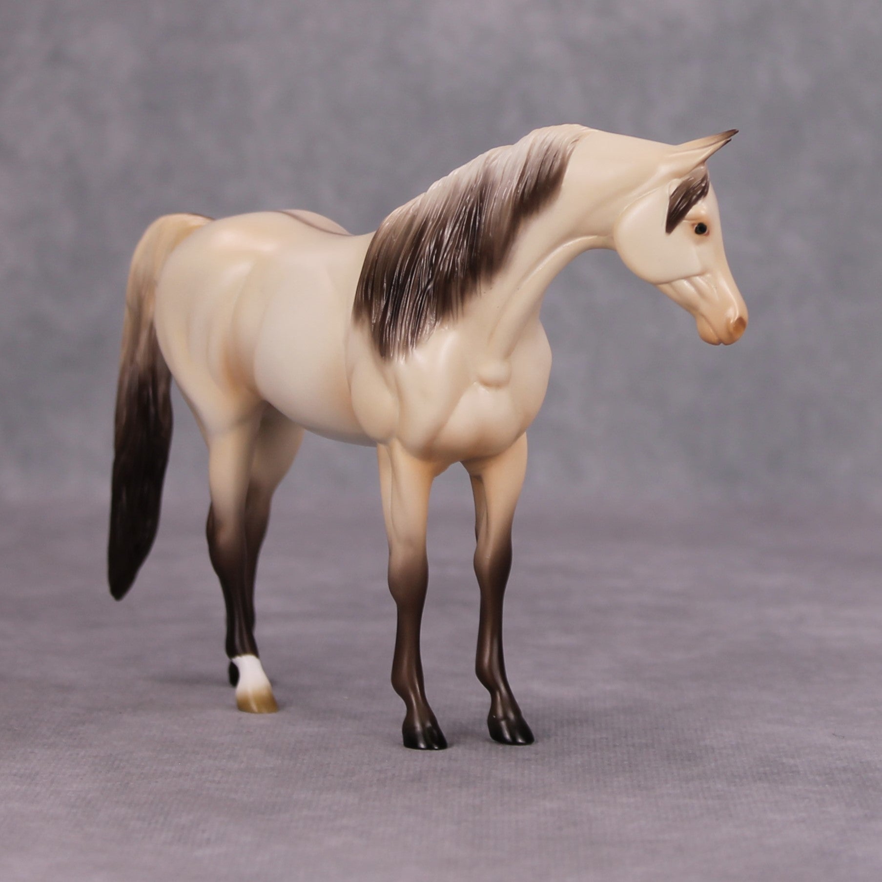 Moon Dust OOAK Champagne Dun Pebble Arabian By Ashley Palmer MM24