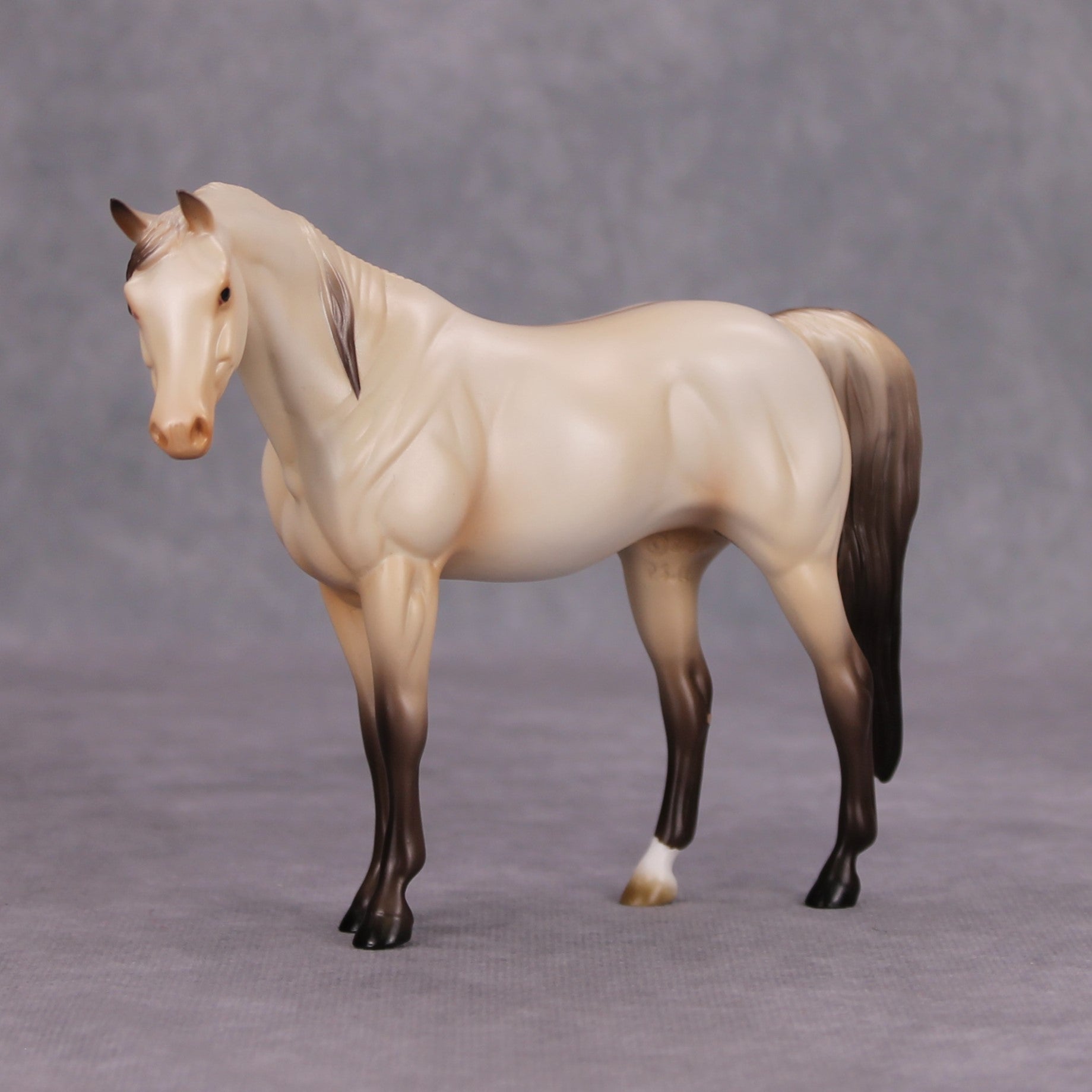 Moon Dust OOAK Champagne Dun Pebble Arabian By Ashley Palmer MM24