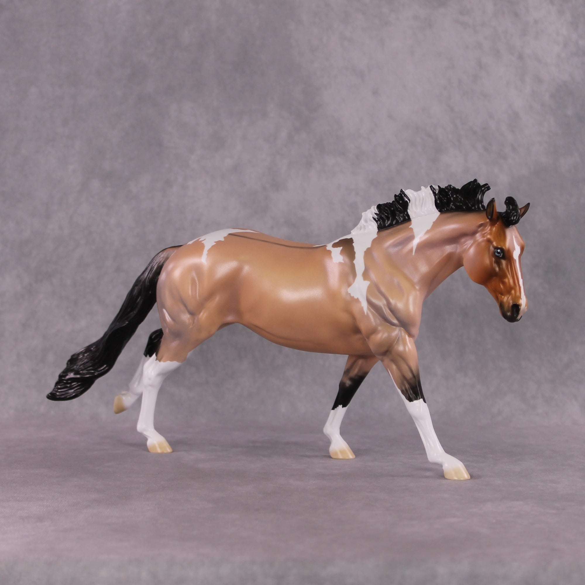 "Murphy's Law" LE-10 FCM Remington By Ellen Robbins SHCF25 Run