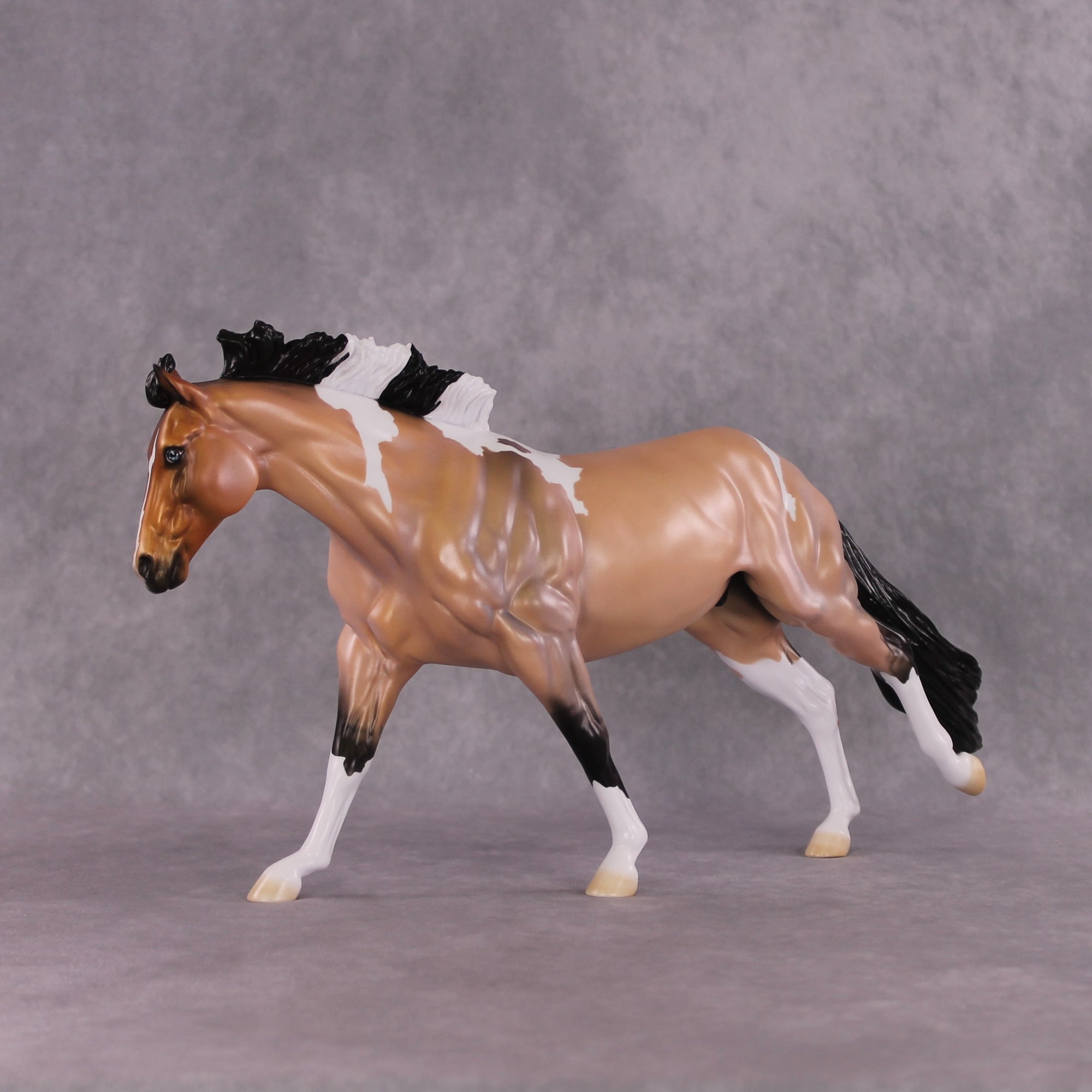 "Murphy's Law" LE-10 FCM Remington By Ellen Robbins SHCF25 Run