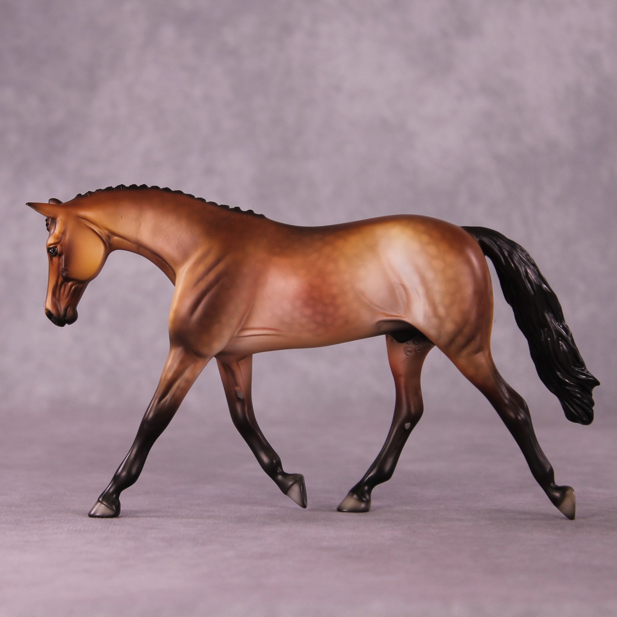 "Pavo" OOAK Pebble Warmblood by Dawn Quick EQ25