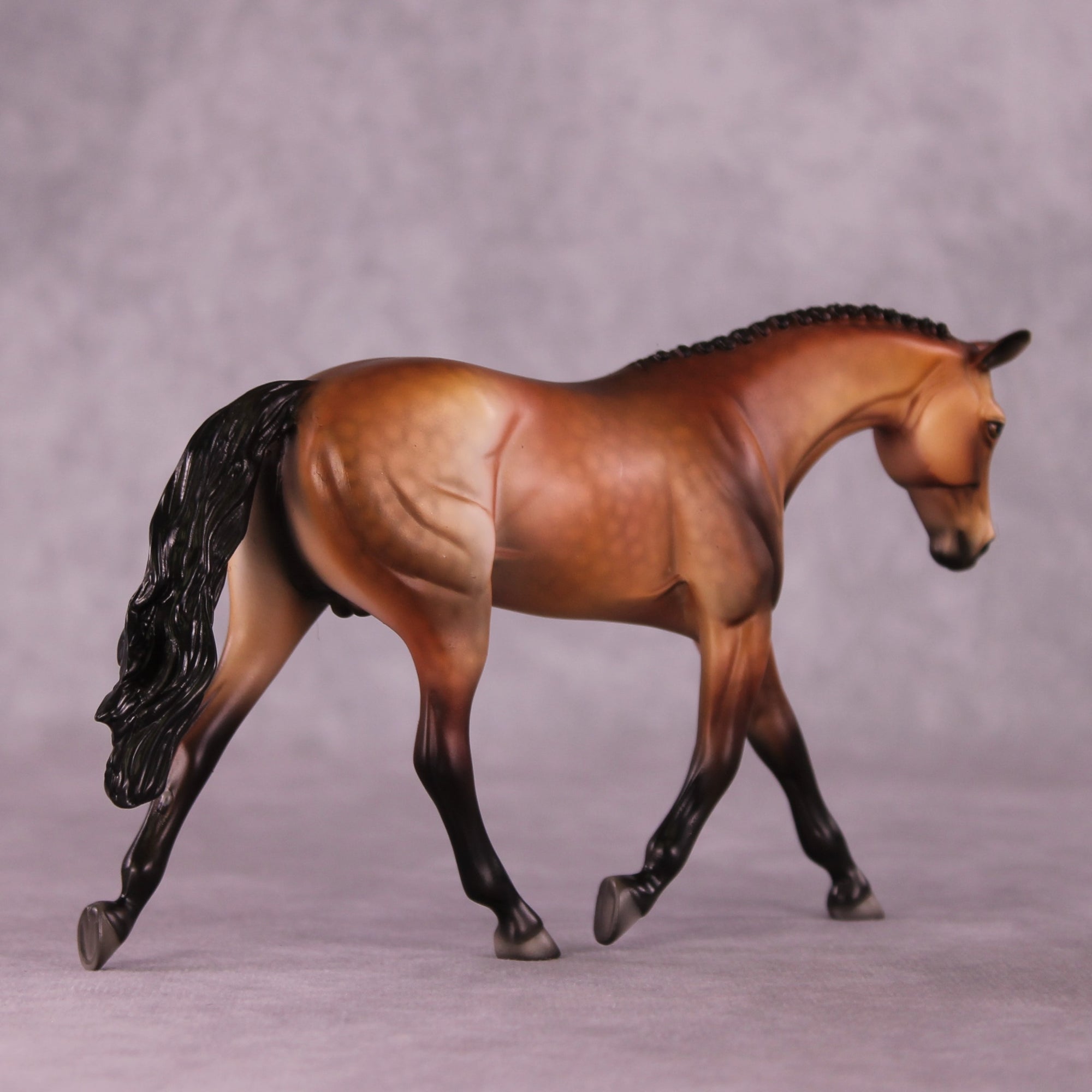 "Pavo" OOAK Pebble Warmblood by Dawn Quick EQ25