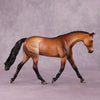 &quot;Pavo&quot; OOAK Pebble Warmblood by Dawn Quick EQ25
