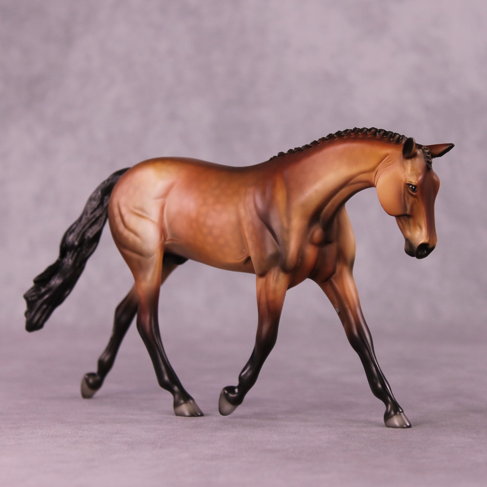 "Pavo" OOAK Pebble Warmblood by Dawn Quick EQ25