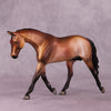 &quot;Pavo&quot; OOAK Pebble Warmblood by Dawn Quick EQ25
