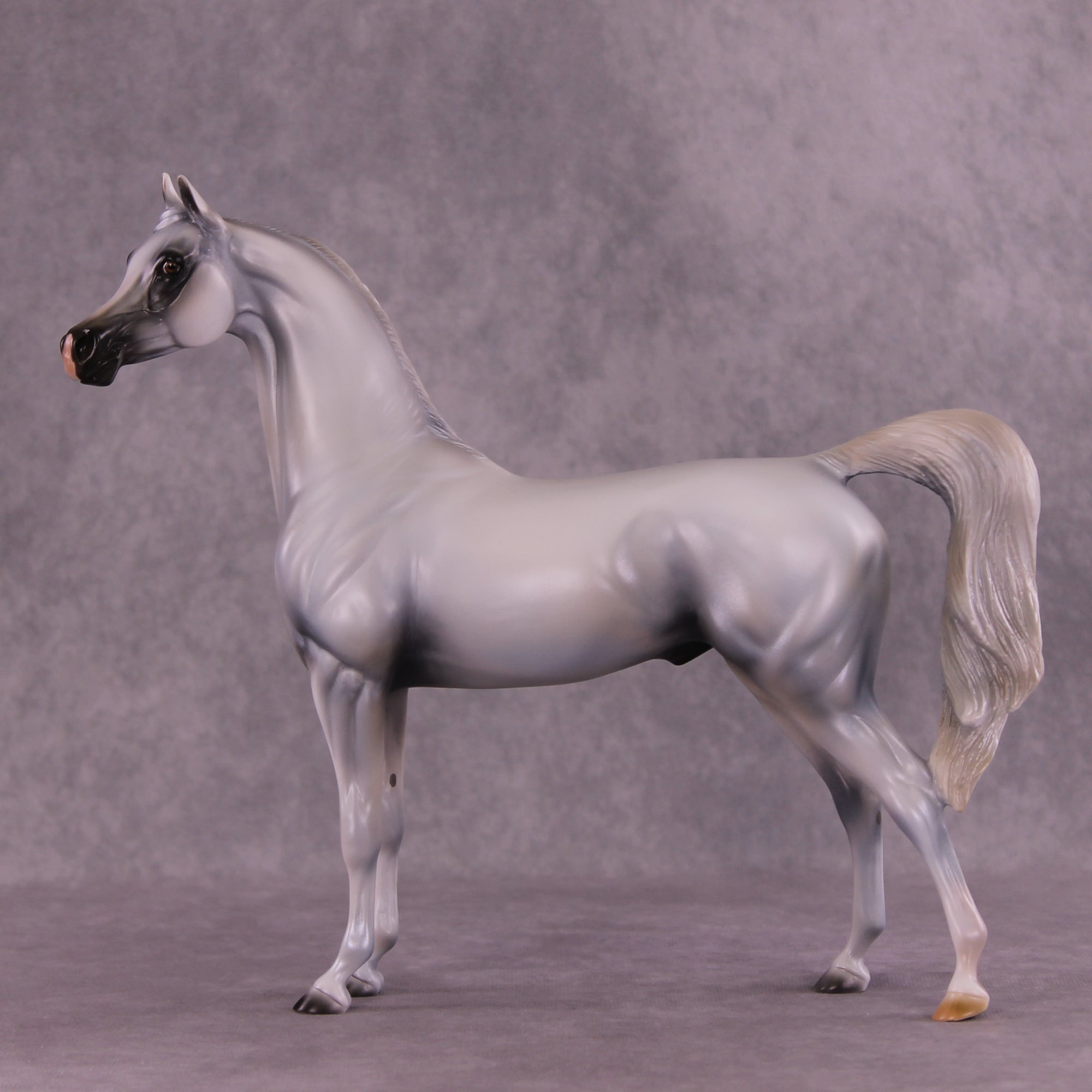 Taboo OOAK Arabian Stallion by Mindy Berg Best Offer 9/16/2025