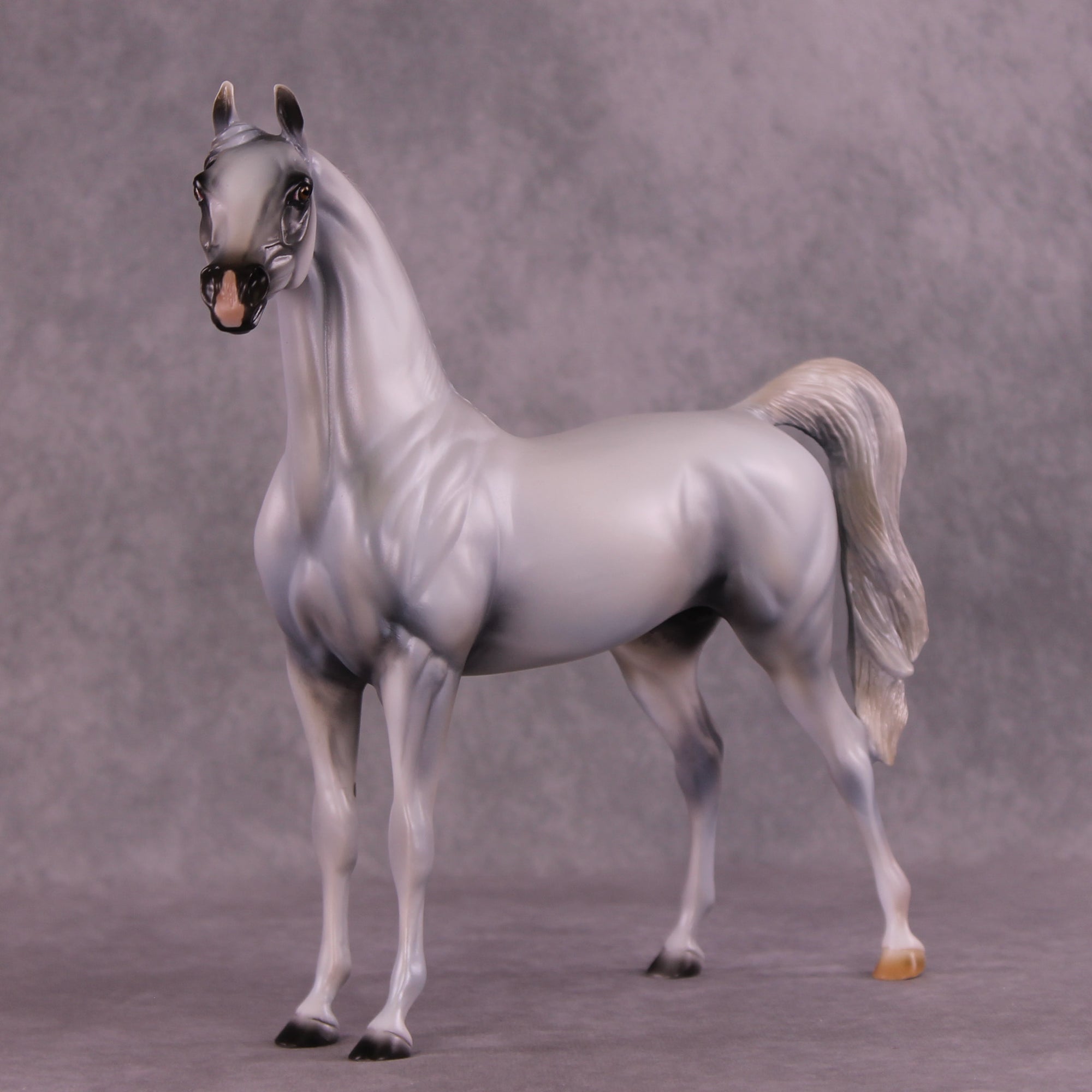Taboo OOAK Arabian Stallion by Mindy Berg Best Offer 9/16/2025