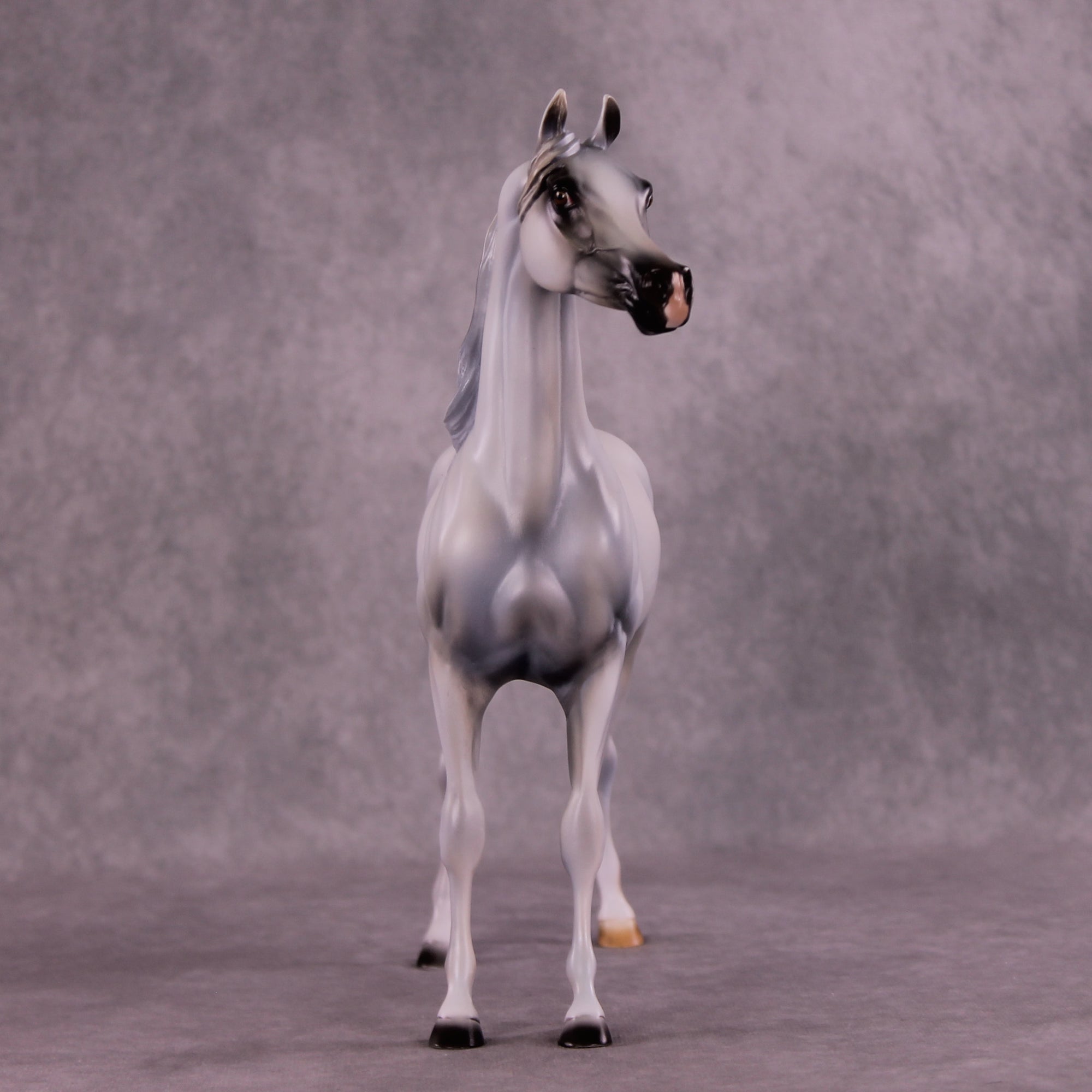 Taboo OOAK Arabian Stallion by Mindy Berg Best Offer 9/16/2025