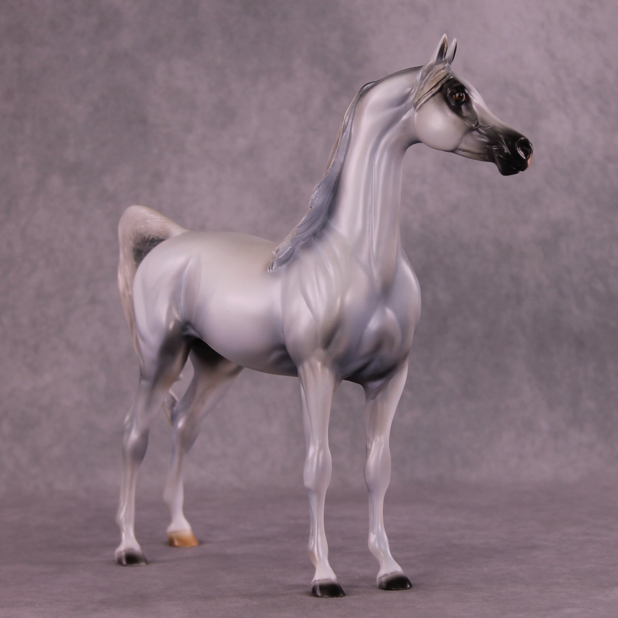 Taboo OOAK Arabian Stallion by Mindy Berg Best Offer 9/16/2025