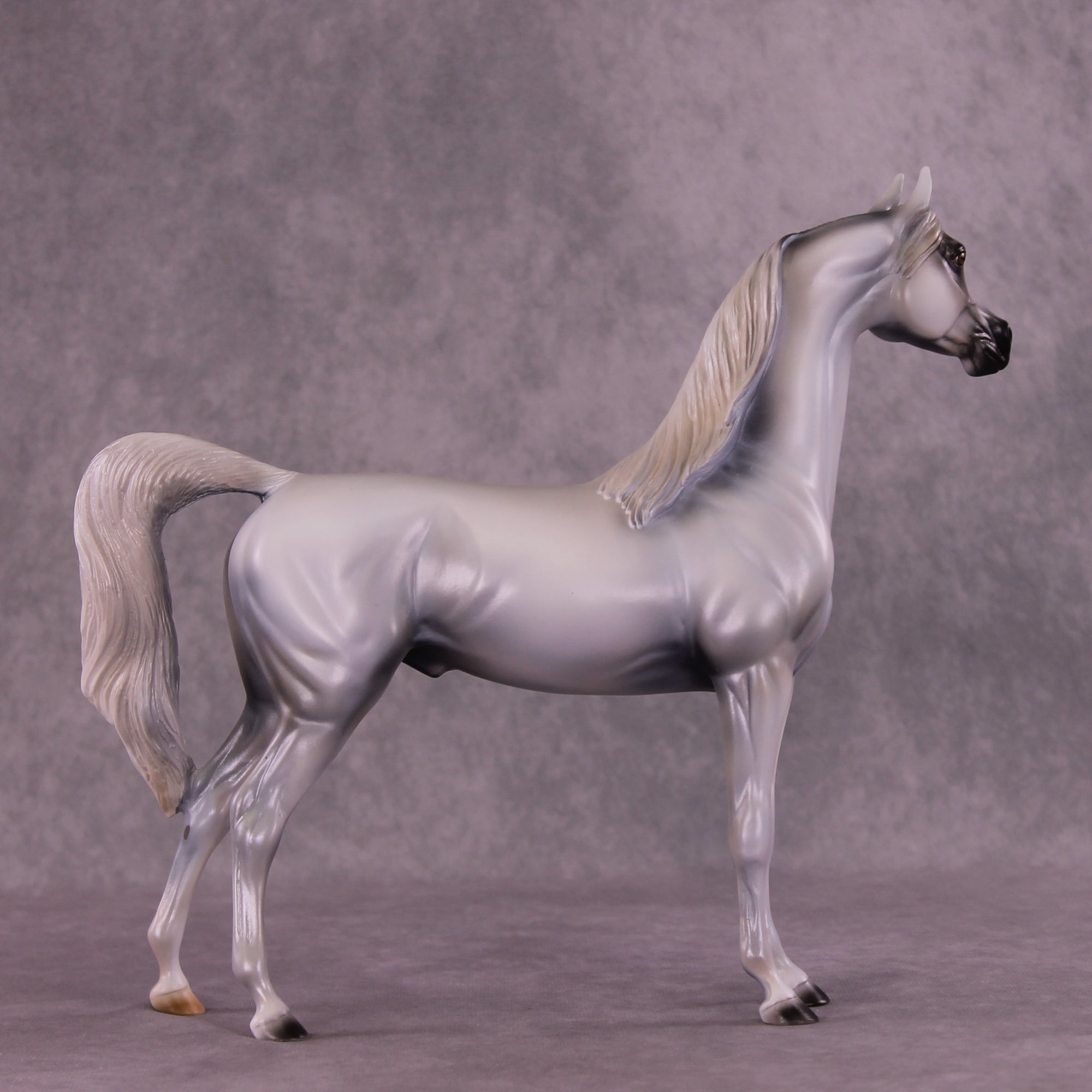 Taboo OOAK Arabian Stallion by Mindy Berg Best Offer 9/16/2025