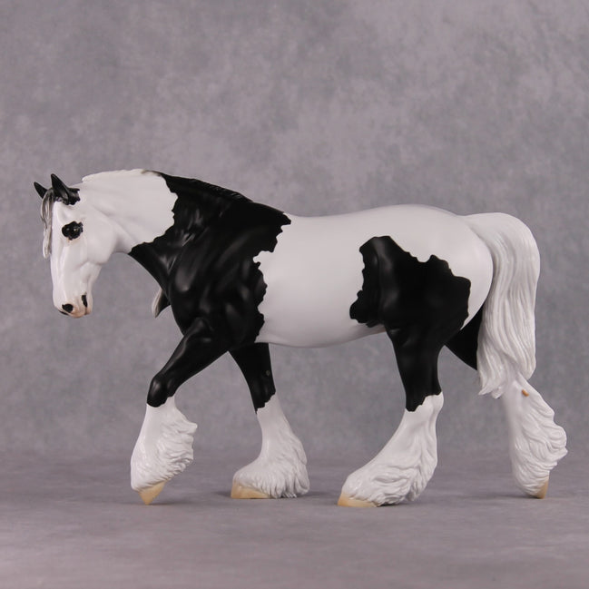 "Xiongmao" LE-15 Custom Black & White Piebald Tovero Irish Cob Inspired by the Giant Panda By Jess Hamill - 2025 The Menagerie Series MS25
