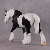 Xiongmao LE-15 Custom Black &amp; White Piebald Tovero Irish Cob Inspired by the Giant Panda By Jess Hamill - 2025 The Menagerie Series MS25