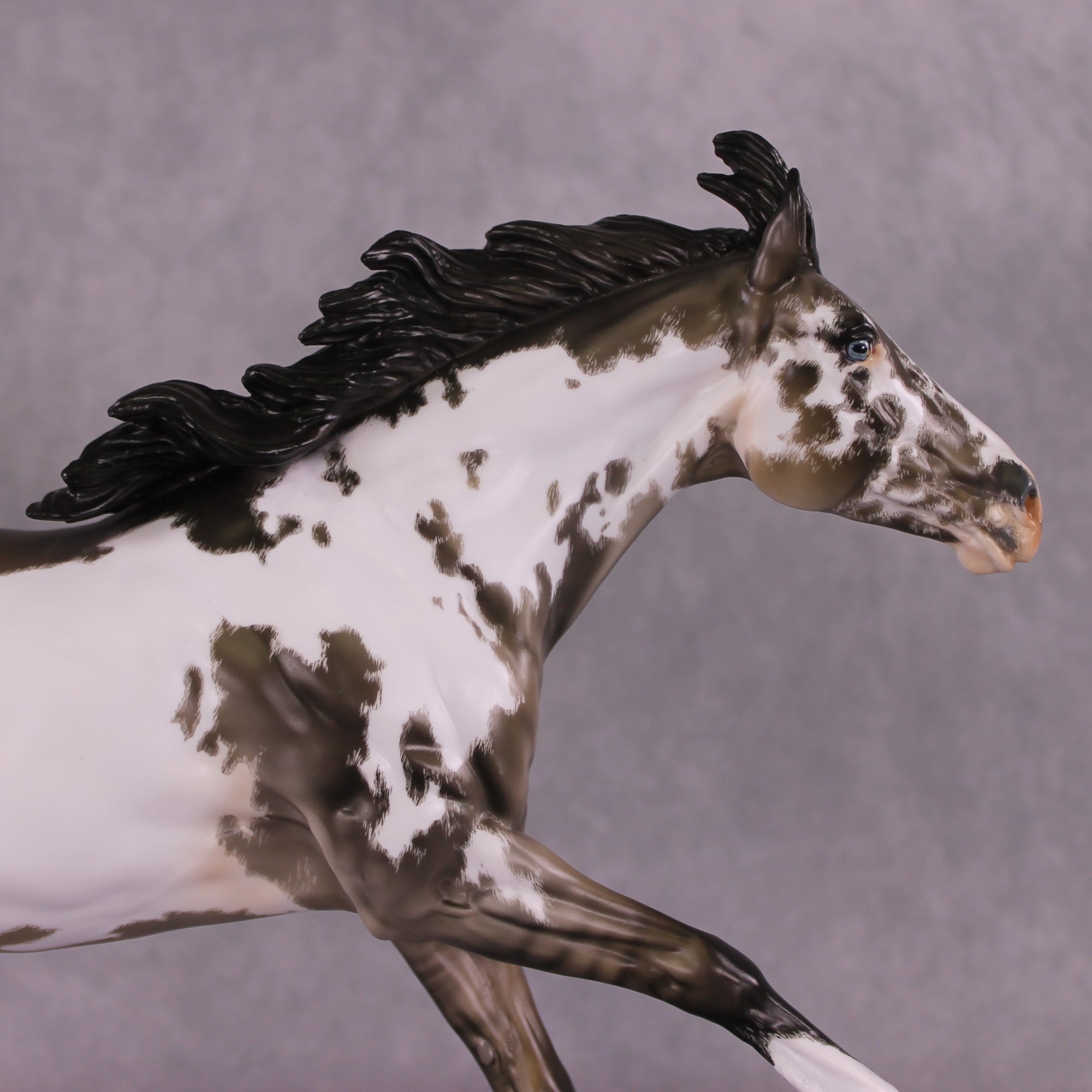 "Peregrine" OOAK Volo Mare by Julie Keim Best Offer 6/18/25