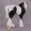 Xiongmao LE-15 Custom Black &amp; White Piebald Tovero Irish Cob Inspired by the Giant Panda By Jess Hamill - 2025 The Menagerie Series MS25