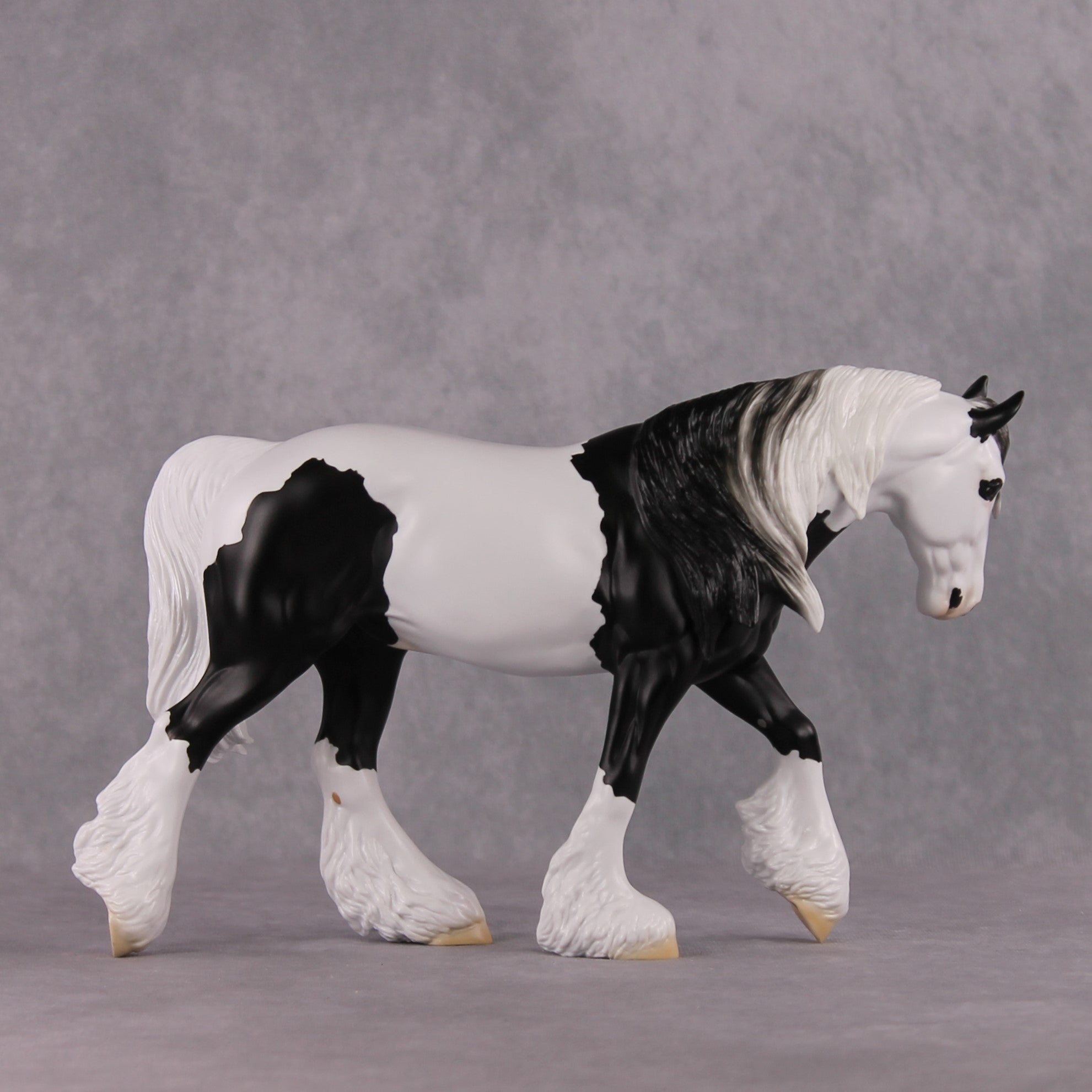 "Xiongmao" LE-15 Custom Black &amp; White Piebald Tovero Irish Cob Inspired by the Giant Panda By Jess Hamill - 2025 The Menagerie Series MS25