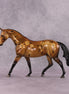 "Equanimity" LE-3 Pony by Dawn Quick SHCF25OS