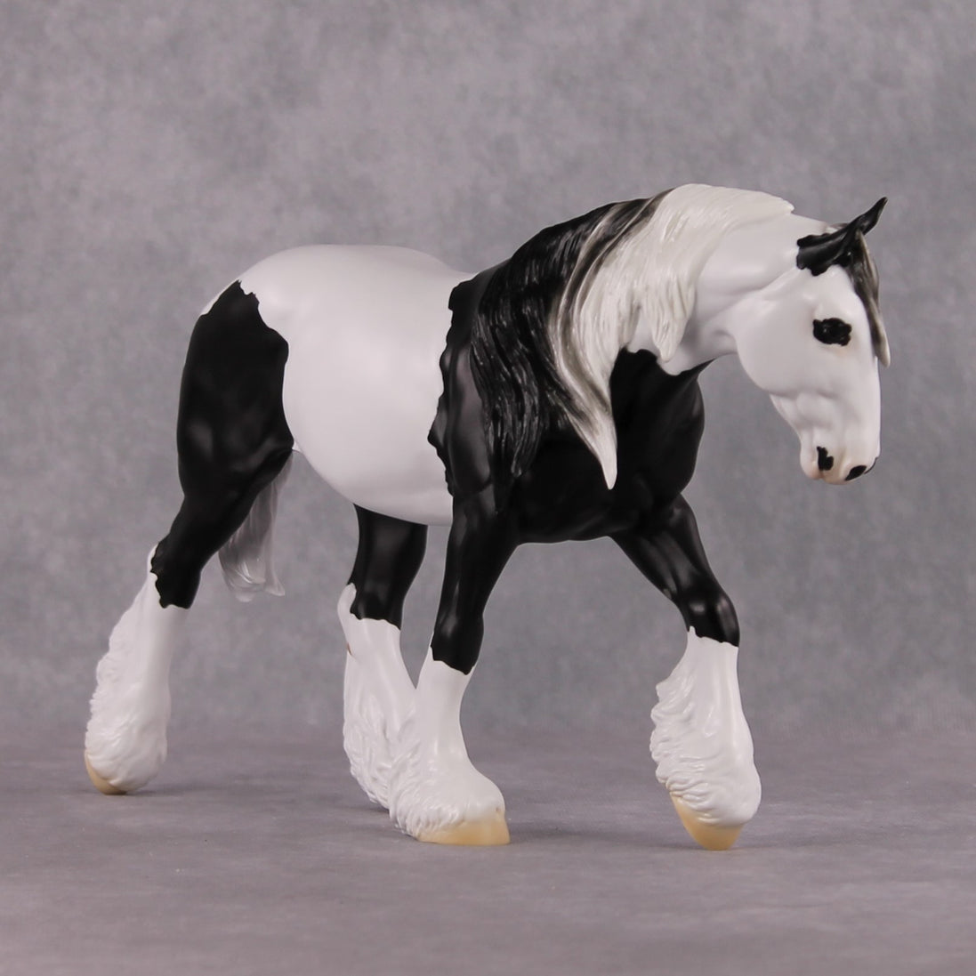 "Xiongmao" LE-15 Custom Black & White Piebald Tovero Irish Cob Inspired by the Giant Panda By Jess Hamill - 2025 The Menagerie Series MS25