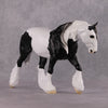 Xiongmao LE-15 Custom Black &amp; White Piebald Tovero Irish Cob Inspired by the Giant Panda By Jess Hamill - 2025 The Menagerie Series MS25