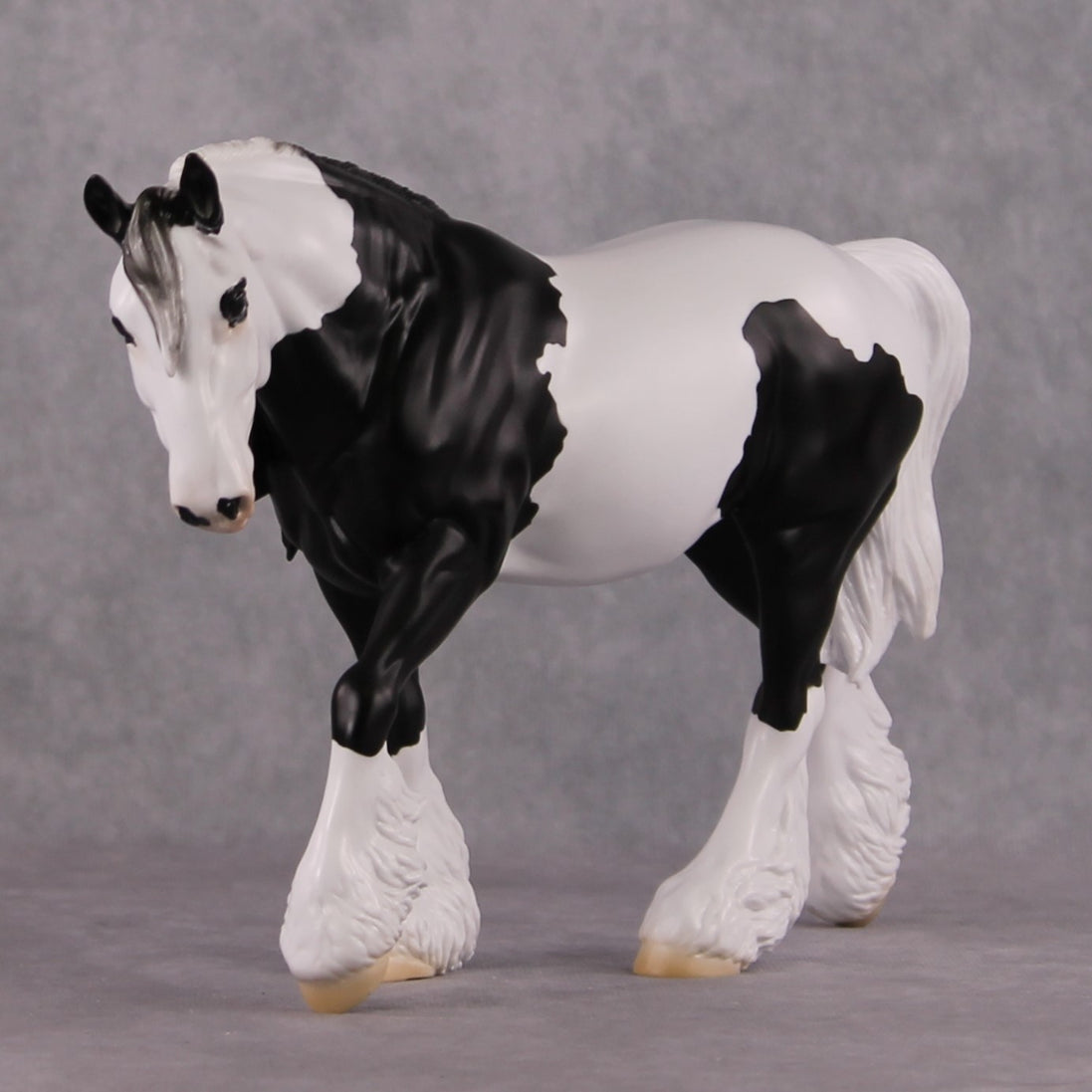 "Xiongmao" LE-15 Custom Black & White Piebald Tovero Irish Cob Inspired by the Giant Panda By Jess Hamill - 2025 The Menagerie Series MS25