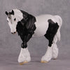 Xiongmao LE-15 Custom Black &amp; White Piebald Tovero Irish Cob Inspired by the Giant Panda By Jess Hamill - 2025 The Menagerie Series MS25