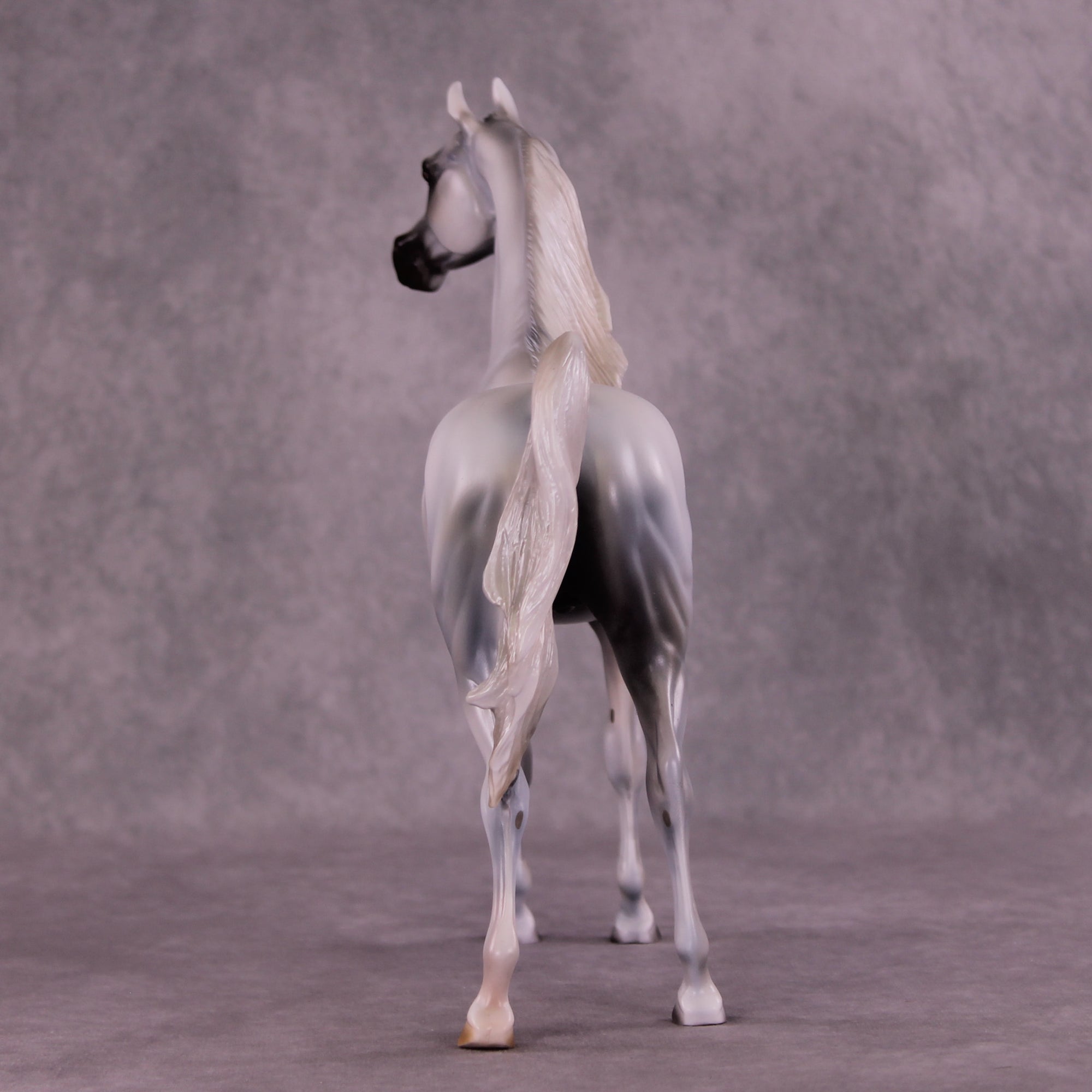 Taboo OOAK Arabian Stallion by Mindy Berg Best Offer 9/16/2025