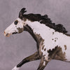 &quot;Peregrine&quot; OOAK Volo Mare by Julie Keim Best Offer 6/18/25