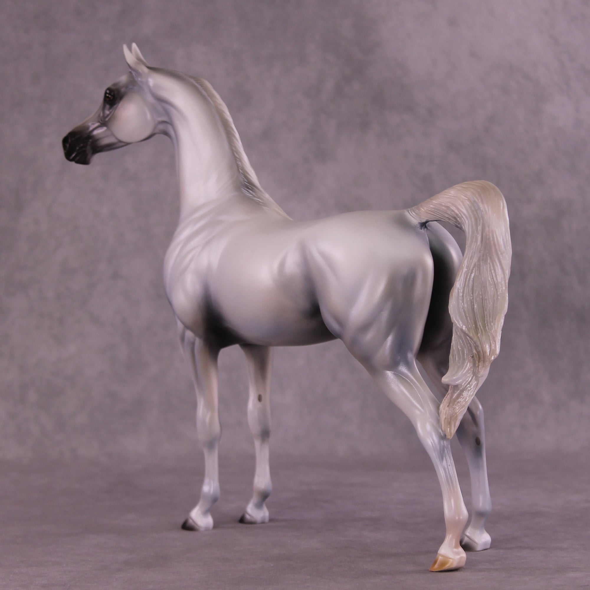 Taboo OOAK Arabian Stallion by Mindy Berg Best Offer 9/16/2025