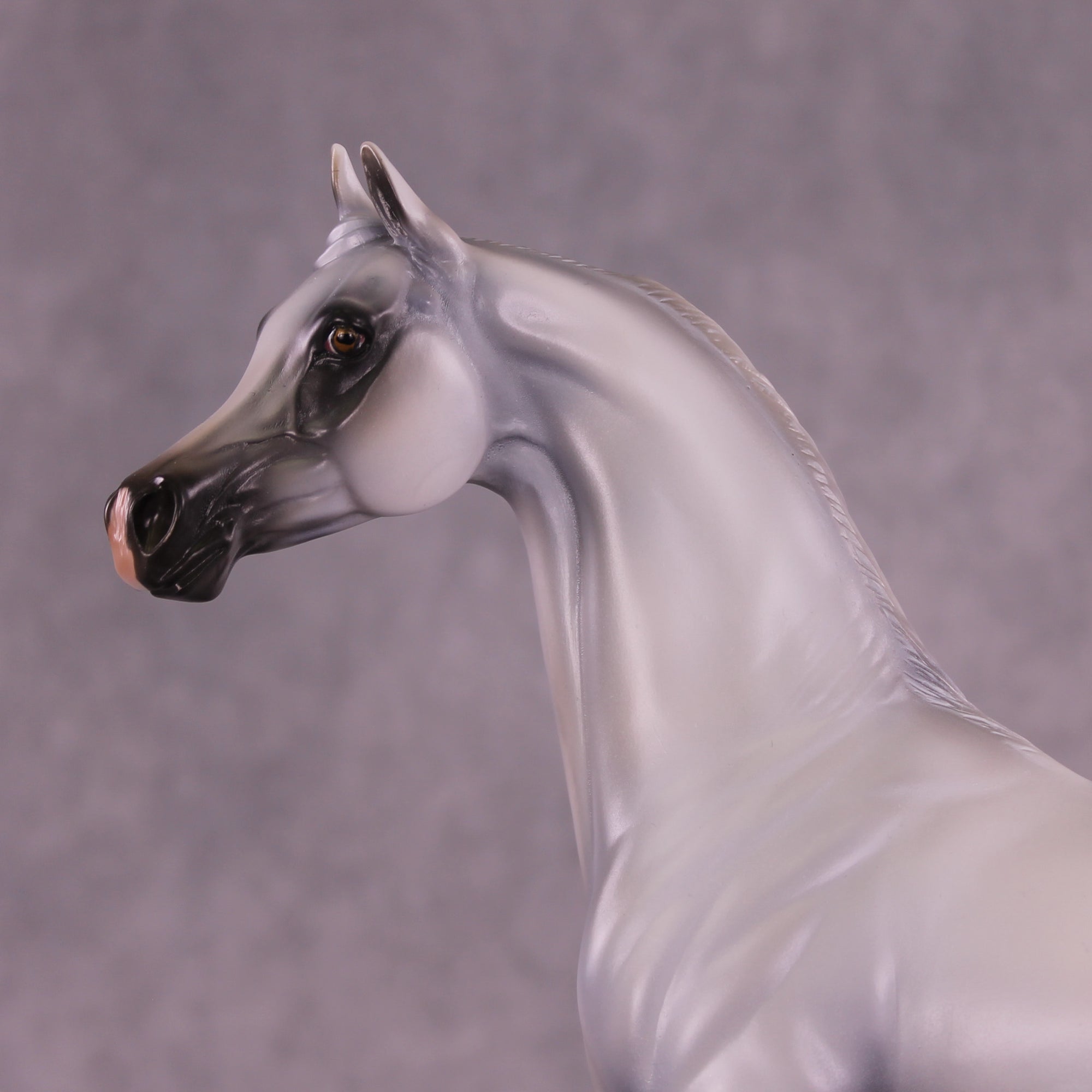 Taboo OOAK Arabian Stallion by Mindy Berg Best Offer 9/16/2025