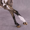 &quot;Peregrine&quot; OOAK Volo Mare by Julie Keim Best Offer 6/18/25