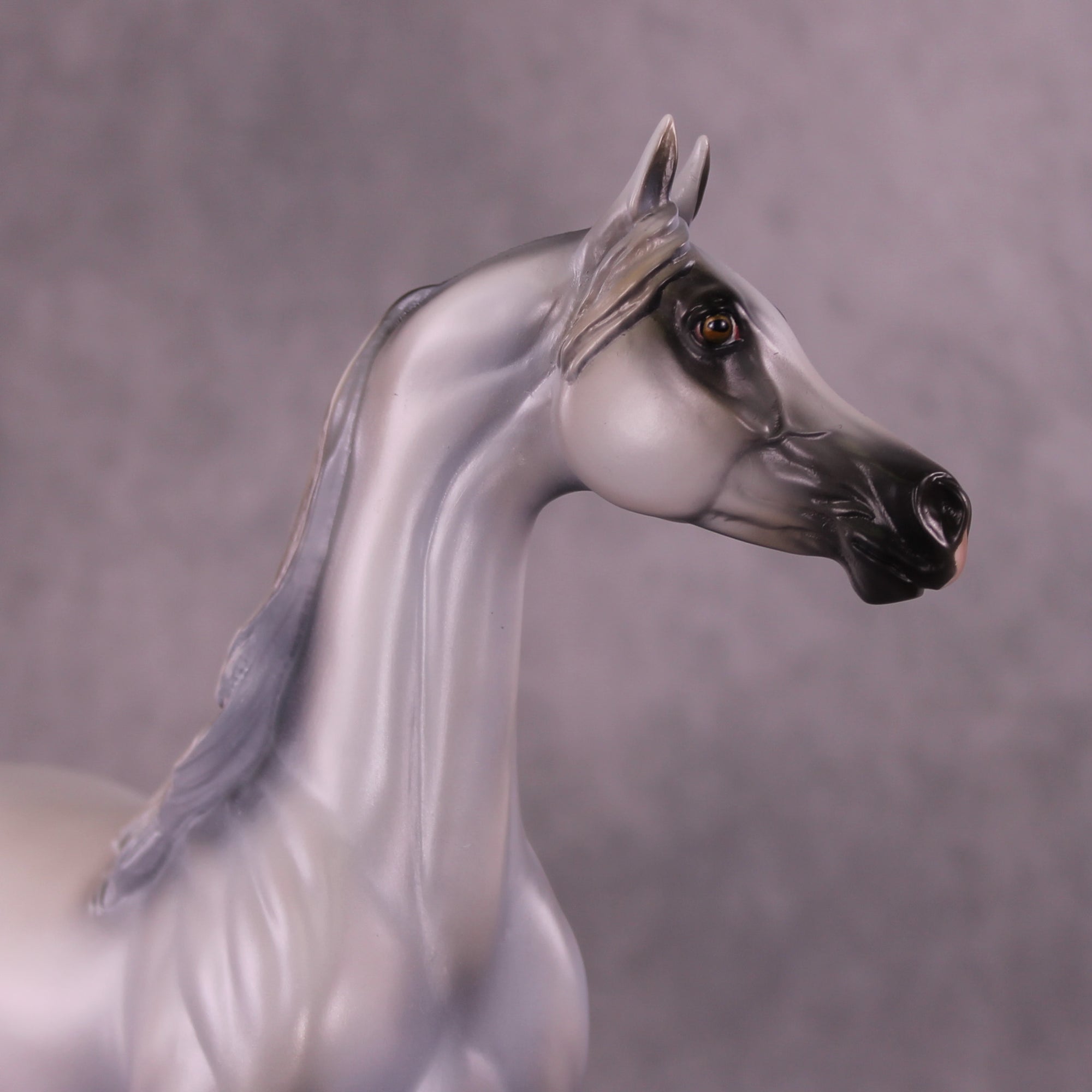 Taboo OOAK Arabian Stallion by Mindy Berg Best Offer 9/16/2025