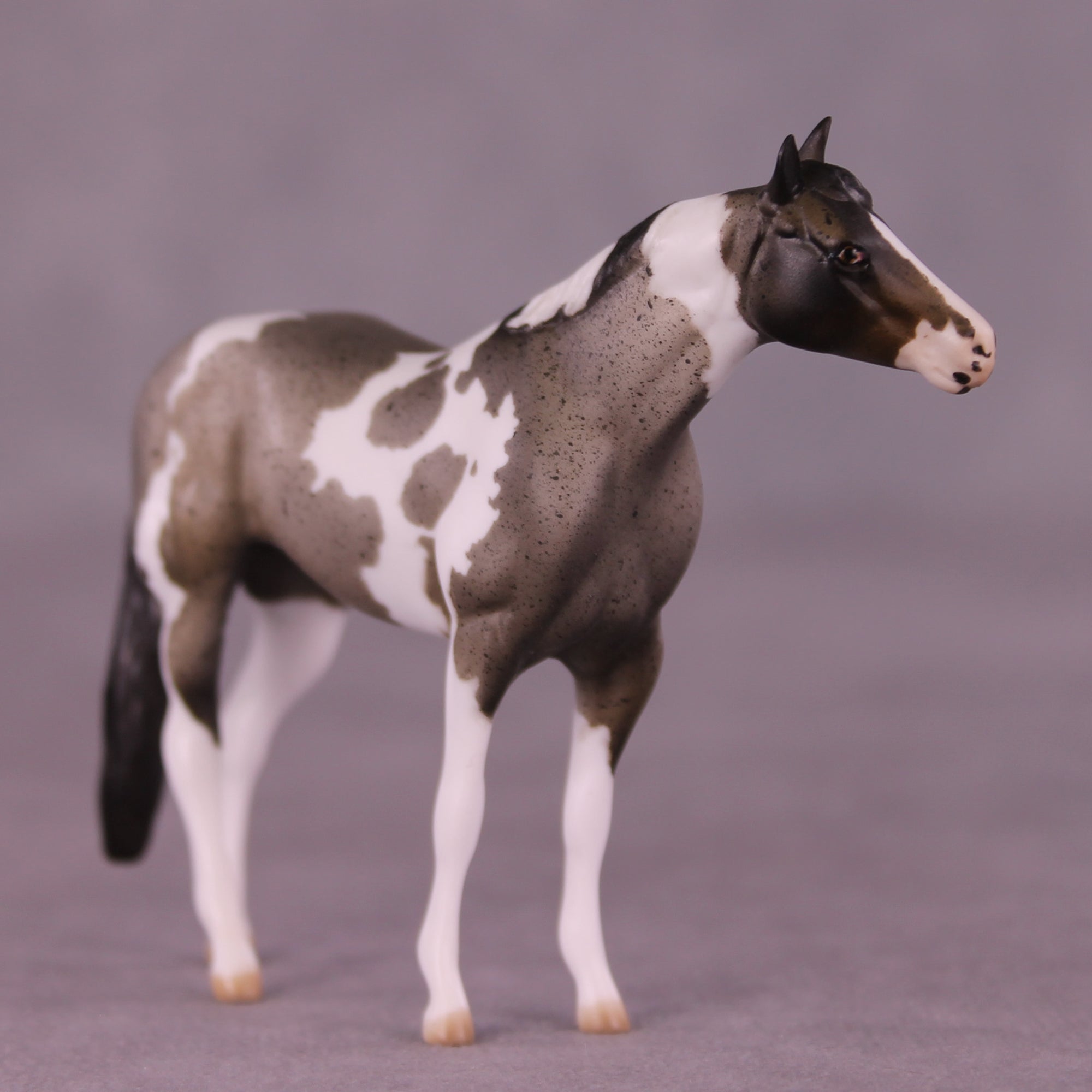 Tillamook OOAK Chip Stock Horse by Julie Keim Special Chip Drop