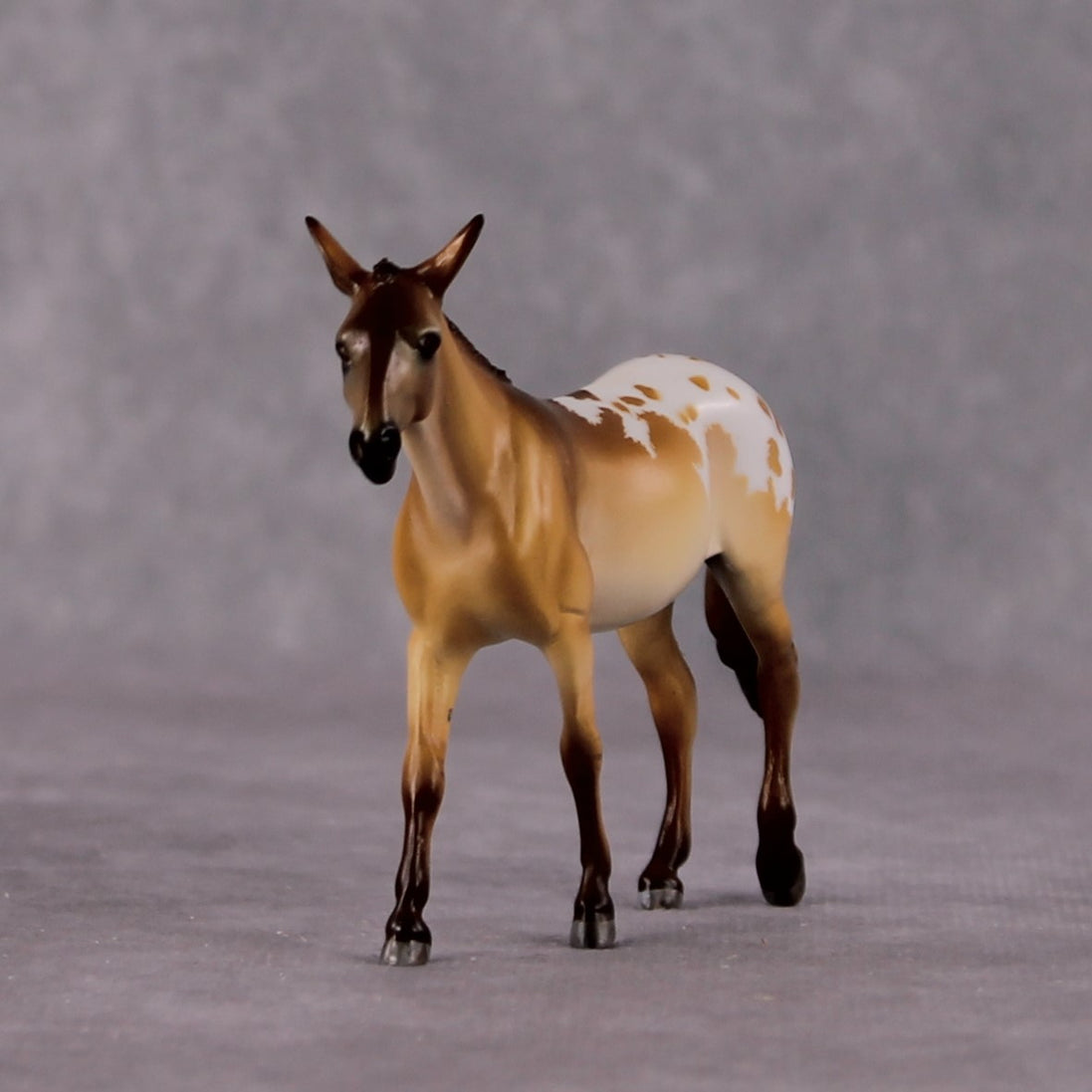 "Lil Spot Dun" OOAK Dun Appaloosa Mule Chip By Tiffany Purdy - GemStone Series