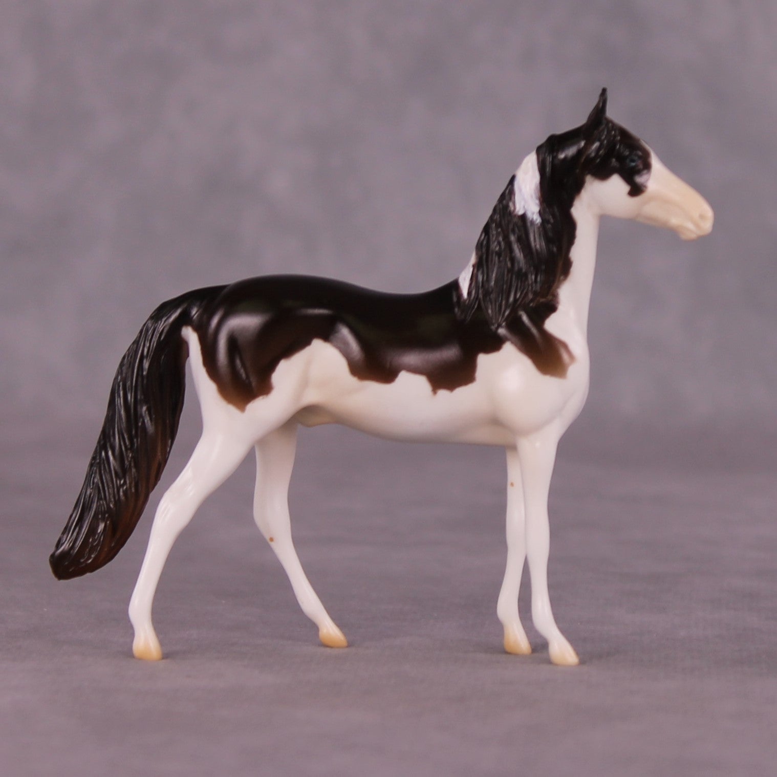 "Paul" LE-5 MorganChip By Erin Corbett $99 Chips Sale June Release