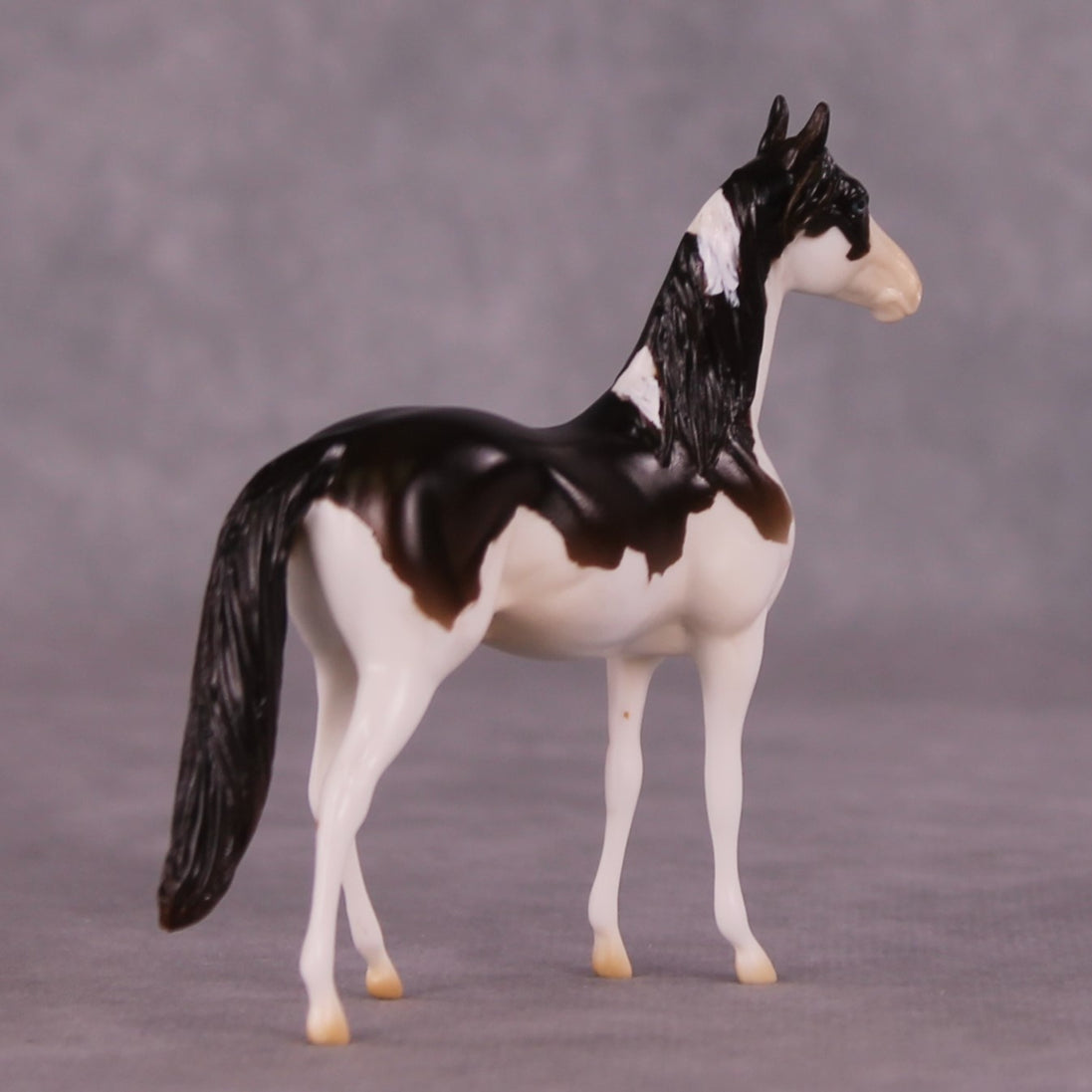 "Paul" LE-5 MorganChip By Erin Corbett $99 Chips Sale June Release
