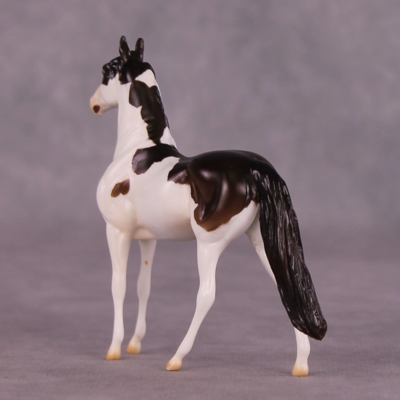 "Paul" LE-5 MorganChip By Erin Corbett $99 Chips Sale June Release