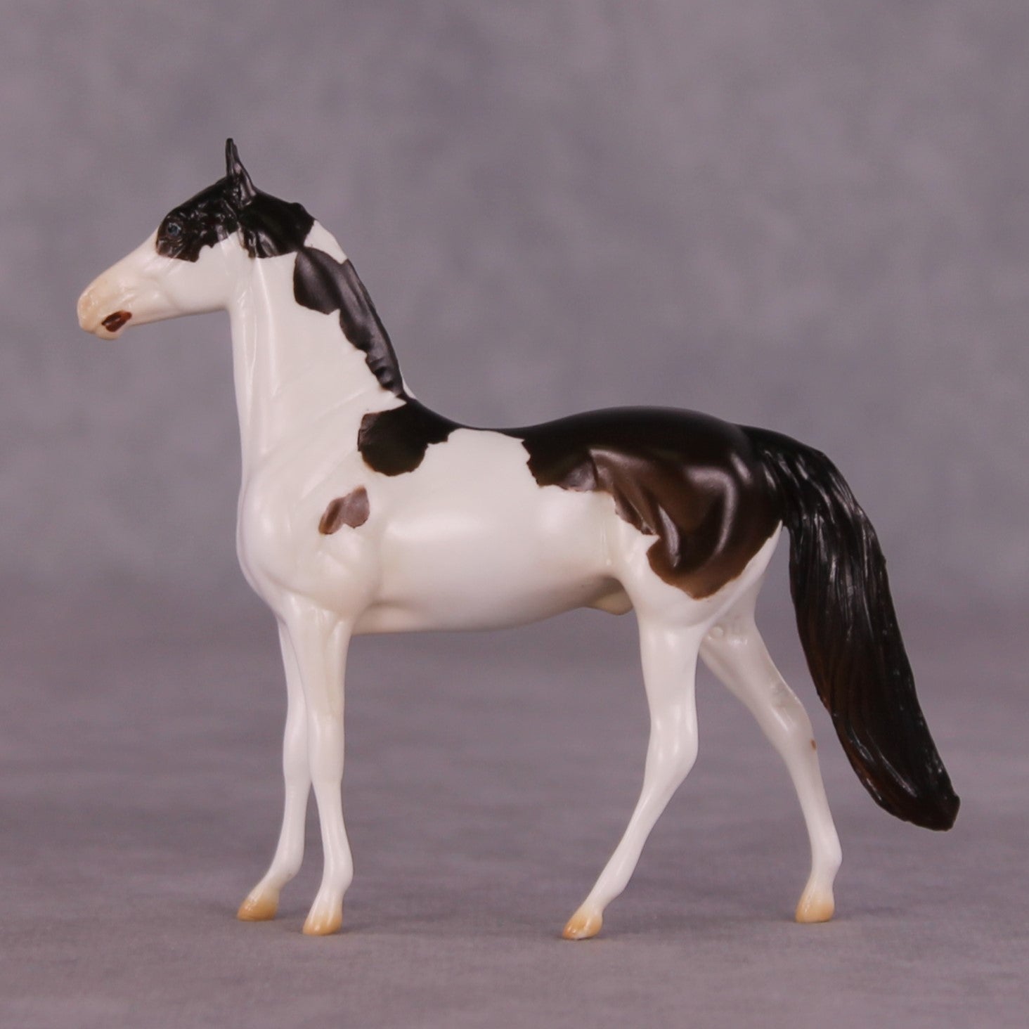 "Paul" LE-5 MorganChip By Erin Corbett $99 Chips Sale June Release