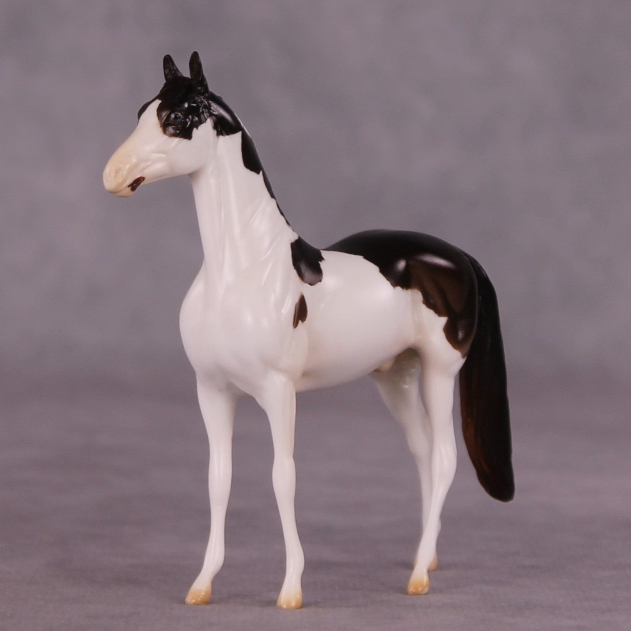 "Paul" LE-5 MorganChip By Erin Corbett $99 Chips Sale June Release