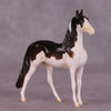 &quot;Paul&quot; LE-5 MorganChip By Erin Corbett $99 Chips Sale June Release