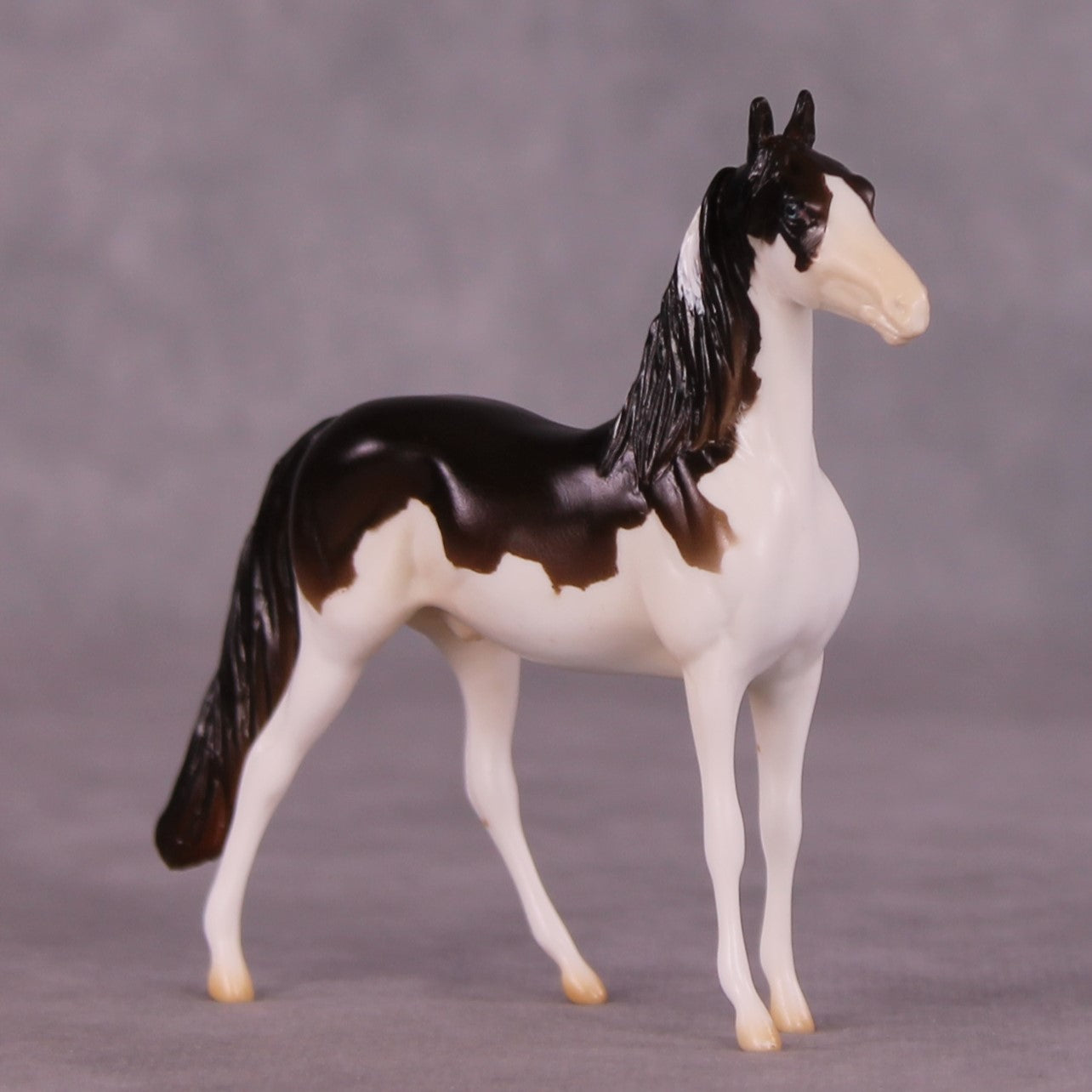 "Paul" LE-5 MorganChip By Erin Corbett $99 Chips Sale June Release