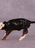 "Broski" LE-5 Calf Chip By Erin Corbett $99 Chips Sale June Release