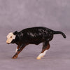 &quot;Broski&quot; LE-5 Calf Chip By Erin Corbett $99 Chips Sale June Release