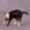 &quot;Broski&quot; LE-5 Calf Chip By Erin Corbett $99 Chips Sale June Release