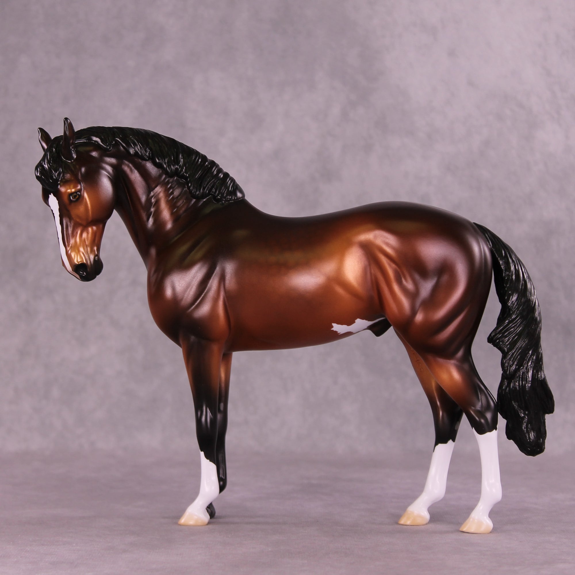 Antipholus of Ephesus LE-15 FCM Andalusian by Ellen Robbins CL25