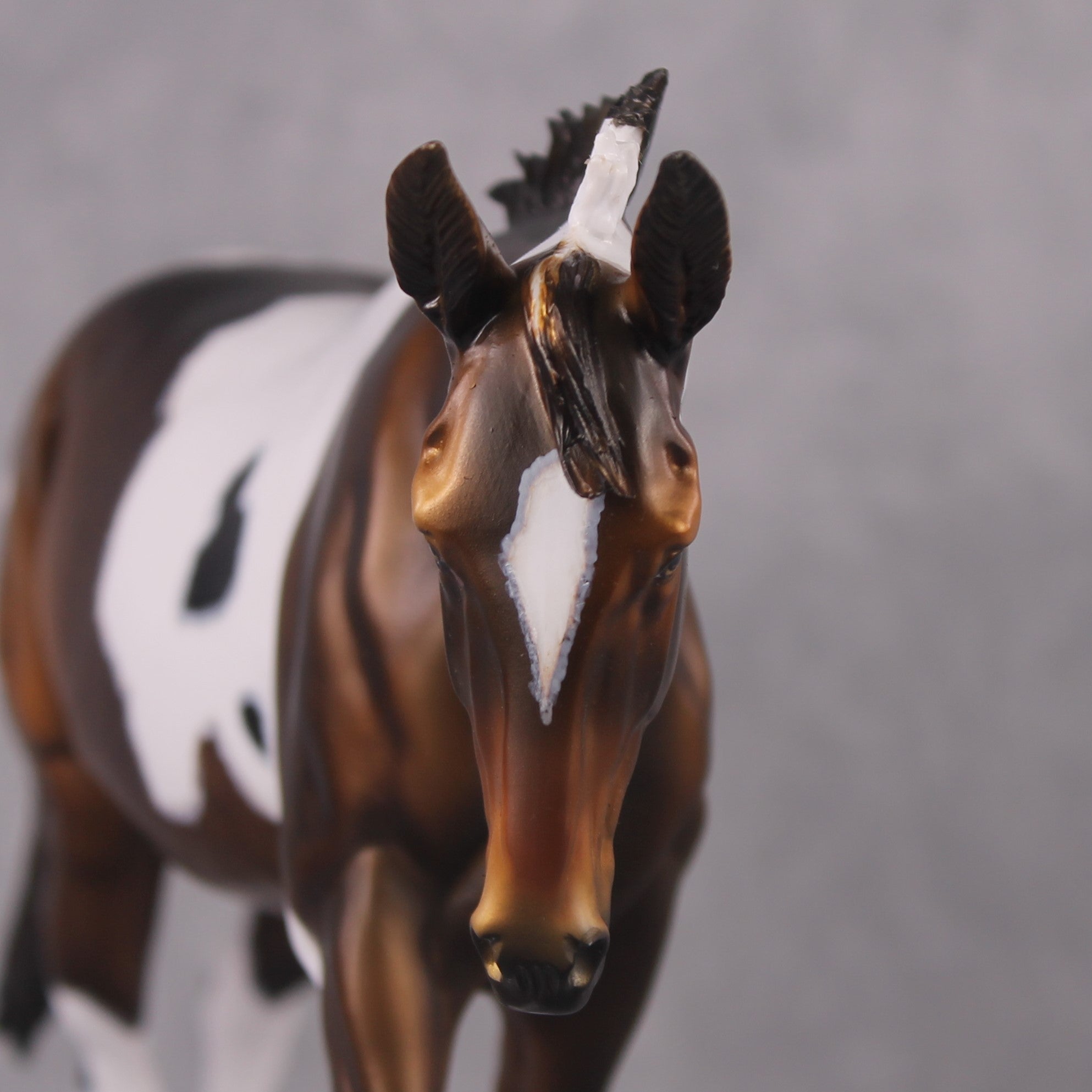 "Turkey" OOAK Bay Pinto Custom Large Mule By Dawn Quick Best Offer 03/04/2025